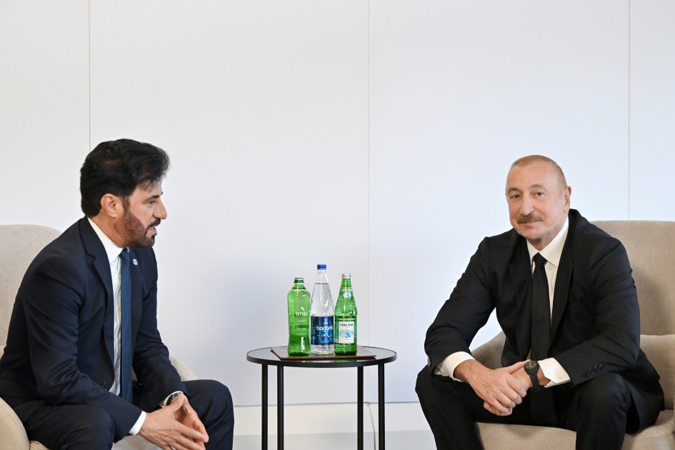 Prezident İlham Əliyev Beynəlxalq Avtomobil Federasiyasının prezidenti ilə görüşüb&nbsp;