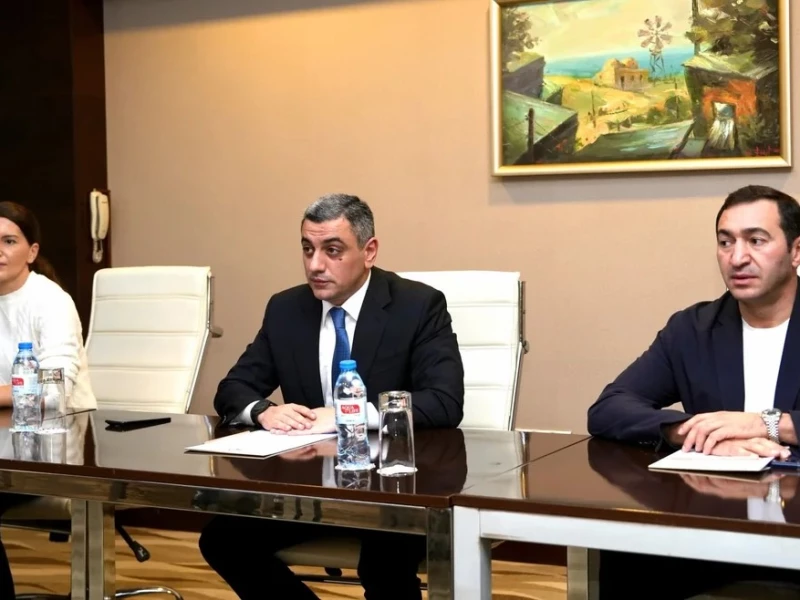 Azərbaycanın iki taekvondoçusu Yeniyetmələrin IV Yay Olimpiya Oyunlarında çıxış edəcək